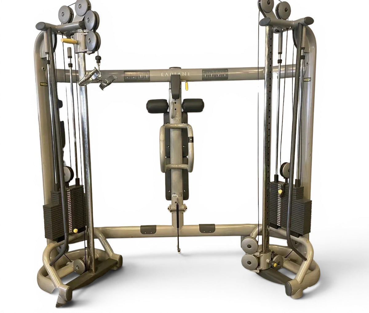 Dual adjustable pulley - Technogym Radiant